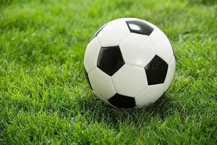 多平台下载本期足彩开奖结果查询应用